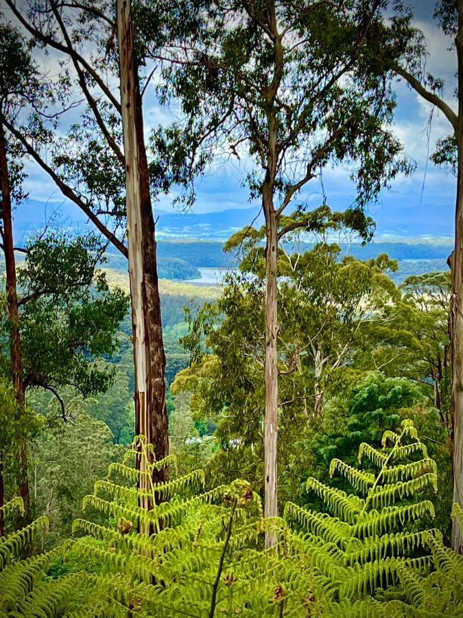 Melbourne Topview Villa In Dandenong Ranges Near Skyhigh Kalorama Exterior photo