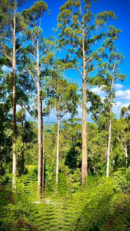 Melbourne Topview Villa In Dandenong Ranges Near Skyhigh Kalorama Exterior photo